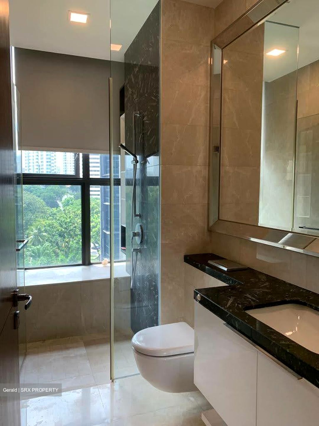 One Balmoral (D10), Condominium #541993351